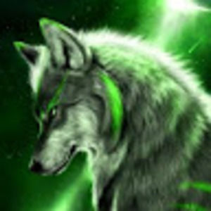 Meet your Posher, Manuel